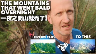 HIKING TAIWAN: The MOUNTAINS that went BALD overnight! + BIG Vietnamese breakfast | 一夜之間山就禿了 (有中文字幕)