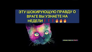 🔥ЭТУ ШОКИРУЮЩУЮ ПРАВДУ ВЫ УЗНАЕТЕ НА НЕДЕЛЕ О ВРАГЕ❗️❗️❗️🔥