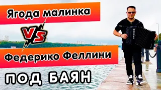 Баянист СуХой ( Ягода малинка VS Федерико Феллини ) - (Cover) // Кавер на баяне