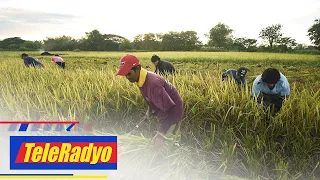 Lakas ng Siyensya | TeleRadyo (15 October 2022)