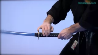 Ninjutsu 4. Katana