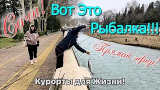 Невероятная рыбалка в Сочи! Ловят все! Прямая трансляция! Ловим лосось в Сочи!