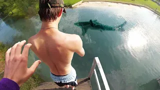 he jumped without seeing the shark..