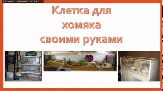 Варианты клеток для хомяка своими руками