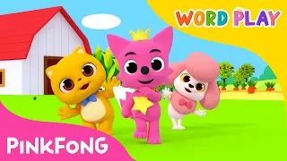 Baby Animals | Word Play | Pinkfong Songs for Children