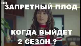 Сериал Запретный плод - Будет продолжение или нет? Когда выйдет