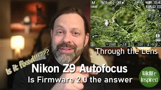 Nikon Z9 Firmware 2.0, Is it for the Birds?!