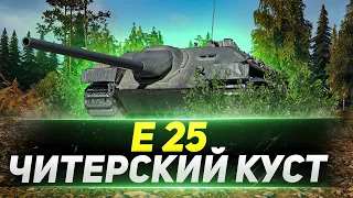 Е 25 - ЧИТЕРСКИЙ Куст с Пушкой!