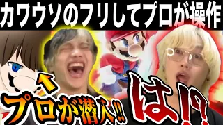 【神回】カワウソのフリして金髪ブリをボコボコにしたらブチギレを通り越してやばいことになったwww【スマブラSP】