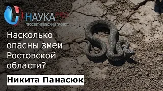 Насколько опасны змеи Ростовской области? | Лекции по зоологии – биолог Никита Панасюк | Научпоп