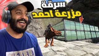 ارك أوليمبوس | سرقة احمد + اغرب مخلوق تروضه حشرة الغاز الطائرة 🔥🔥| 9#ARK Olympus