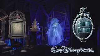 2019 The Haunted Mansion Low Light On Ride HD POV Walt Disney World Magic Kingdom