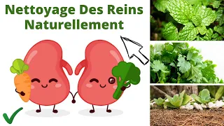 Nettoyage Des Reins Naturellement - 7 meilleures herbes pour le nettoyage des reins