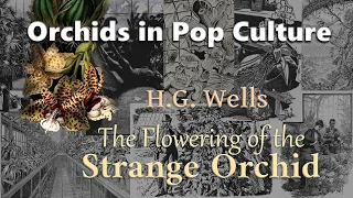 The Flowering of the Strange Orchid - H.G. Wells // Orchids in Pop Culture