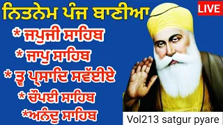 ਮੇਰੇ ਸਾਹਿਬ | Nitnem Panj bania | ਨਿਤਨੇਮ ਪੰਜ ਬਾਣੀਆ  | 5 bania da path | ਜਪੁਜੀ ਸਾਹਿਬ | Vol 213 Viral