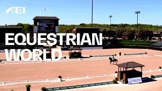 WEG 2018 - Preparations are in full swing | Equestrian World