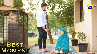 Qalandar Ep 47 | 𝐁𝐞𝐬𝐭 𝗠𝗼𝗺𝗲𝗻𝘁 𝟭𝟭 | Muneeb Butt | Komal Meer | Ali Abbas | Hiba Aziz | HAR PAL GEO