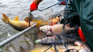 American Food - THE BEST SMOKED FISH IN WISCONSIN! Valley Fish & Cheese