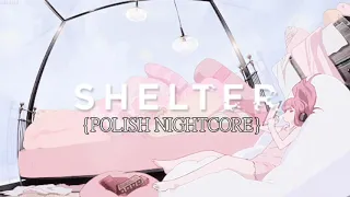 [Nightcore] - Shelter『POLISH』