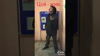 Бомж исполняет Цоя