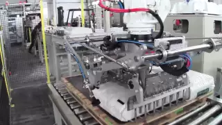 Robot Palletizer with multi-purposes gripper