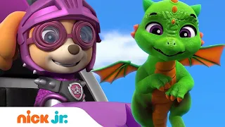 PAW Patrol Rescue Knights Get Help From Baby Dragons! 🔥 | Nick Jr.