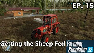 SilverRun Forest: Ep. 15 - We build the Sheep Barn and feed the new sheep.