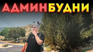 АДМИН БУДНИ! СПАСАЮ СЕРВЕР ОТ НАРУШИТЕЛЕЙ В ГТА 5 РП - АДМИН БУДНИ В GTA 5 RP