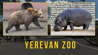 Yerevan ZOO(Երևանի կենդանաբանական այգի)😍 🦁 🐐 🌳  باغ وحش ایروان