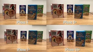 Camera Test: iPhone X vs iPhone 8 Plus vs iPhone 7 Plus vs iPhone 6S Plus