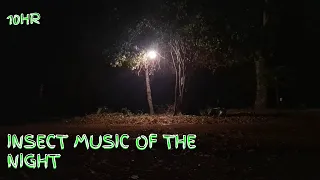 Relaxing sounds of insects at night to help you sleep - ASMR. Natures music of the night.