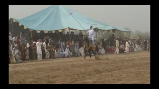 Horse Stand Race In Pakistan neza bazi