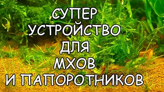 СУПЕР УСТРОЙСТВО ДЛЯ МХОВ И ПАПОРОТНИКОВ