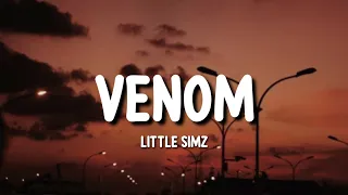 Little Simz - Venom (Lyrics) "It's a woman's world so to speak p**$y you sour" [Tiktok Song]