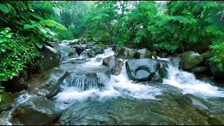 Serenity in Nature: Relaxing River Sounds and Gentle Flow  - HD Video