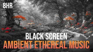 Black Screen: Ambient and Ethereal Music |  Energy Saving