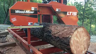 Cutting Douglas Fir Timbers on Woodmizer LT15 Sawmill