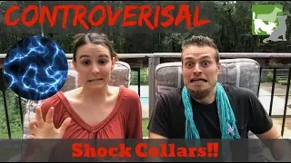 HATE Shock Collars!? | Dog Trainers' View