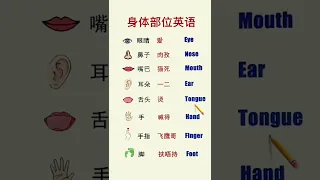 Learn Chinese for beginners - basic Chinese - Chinese vocabulary #Chinese #Study #Shorts #1350