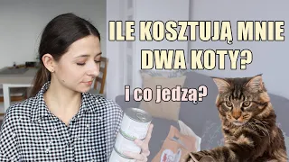 ILE MIESIĘCZNIE WYDAJE NA KOTY? 💸🐈 + KARMY DLA KOTA