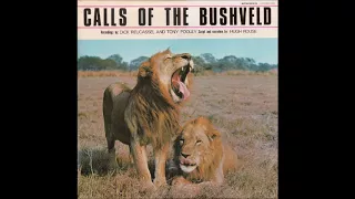 Calls of the Bushveld