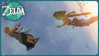 What happens if you DONT catch Zelda? - Zelda: Tears of the Kingdom