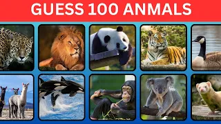 Guess 100 Animals in 3 Seconds | Easy, Medium, Hard, Impossible @DailyQuizgame