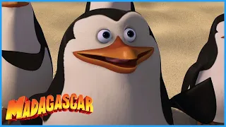 DreamWorks Madagascar | Penguins To The Rescue | Madagascar Movie Clip