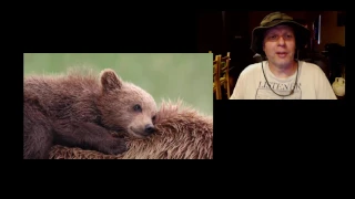 ТОП 5 Лучшие видео с медведем