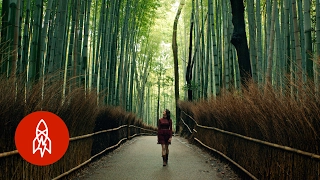 A Spirited Journey to Kyoto’s Most Isolated Restaurant