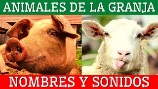 🌾Los ANIMALES DE LA GRANJA para niños/Aprende los animales y sus sonidos🐷🐴🦆