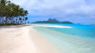 Promenade sur l'île tropicale, plage, mer | Motu Tane, Bora-Bora, Polynésie française | Voyage 4K