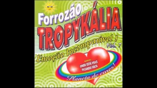 CD Forrozão Tropykália (Planeta de Cores!) - Vol. 7, 2004