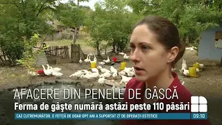 O femeie din satul Bahu, raionul Călărași creşte gâşte pentru a face perne din penele lor